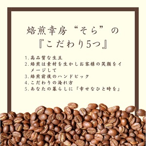 【コーヒー豆定期便12か月】『焙煎幸房“そら”』世界を旅するコーヒー 酸味は苦手、浅煎り抜き 200g×2袋(2種類合計400g)