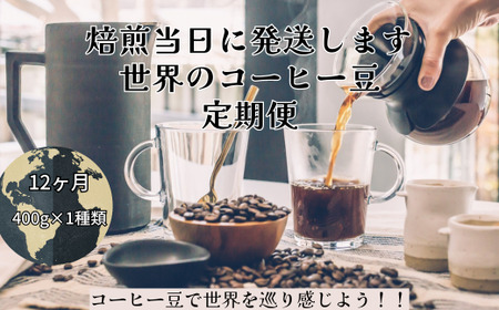 【コーヒー豆定期便12か月】『焙煎幸房“そら”』世界を旅するコーヒー 酸味は苦手、浅煎り抜き 400g×1種類