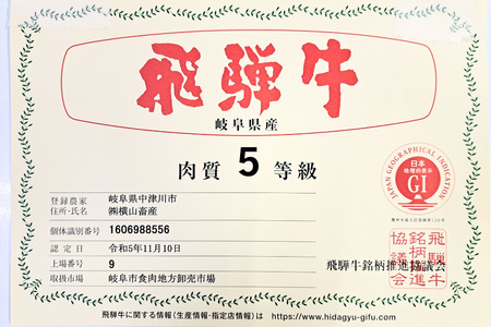 A5 飛騨牛 100%使用 ひき肉 500g 挽肉 ミンチ ハンバーグ の種