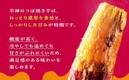 【岐阜総本舗幸神】冷凍 焼き芋 ペースト | ペースト