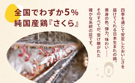 【定期便6ヶ月】純国産鶏 さくらたまご 20個｜たまご