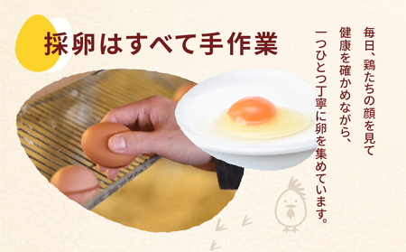 【定期便6ヶ月】純国産鶏 さくらたまご 20個｜たまご