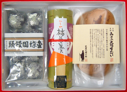 ザ大垣セット雅