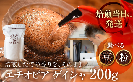 【定期便12ヶ月】超希少種コーヒー 豆『エチオピア ゲイシャ』　定期便