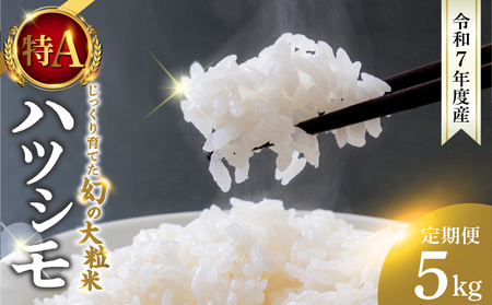 定期便 ハツシモ 5kg 新米｜新米