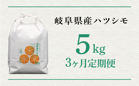定期便 ハツシモ 5kg 新米｜新米