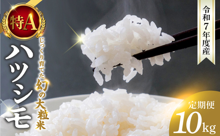3回定期便 令和7年度産 ハツシモ 10kg 新米｜ハツシモ