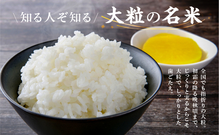 3回定期便 令和7年度産 ハツシモ 10kg 新米｜ハツシモ