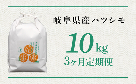 3回定期便 令和7年度産 ハツシモ 10kg 新米｜ハツシモ