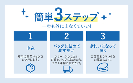 【最大1年間保管付！】羽毛布団丸洗い宅配クリーニング(1点)