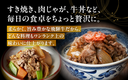定期便 飛騨牛 A5 ちょっと良い 切り落とし 定期便