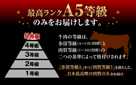 定期便 飛騨牛 A5 ちょっと良い 切り落とし 定期便