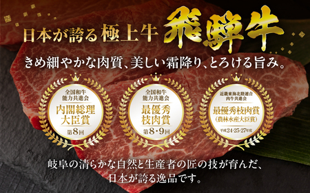 定期便 飛騨牛 A5 すき焼き ロース 定期便