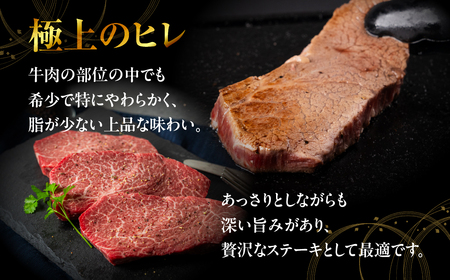 飛騨牛 A5 ヒレ ステーキ 280g｜ヒレ