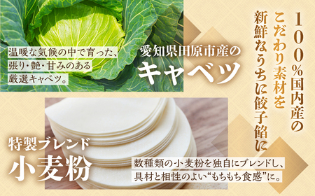 生ぎょうざ専門店 新家 ぎょうざ 80個 