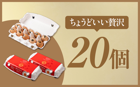 烏骨鶏たまご モールド 20個|たまご