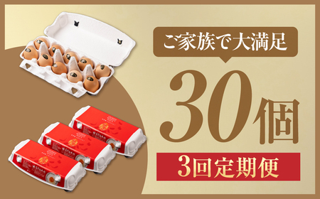 【3ヶ月定期便】烏骨鶏たまご モールド 30個｜たまご