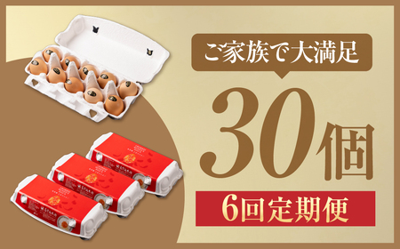【6ヶ月定期便】烏骨鶏たまご モールド 30個｜ たまご