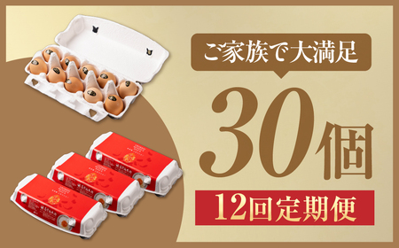 【12ヶ月定期便】烏骨鶏たまご モールド 30個｜たまご