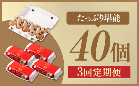 【3ヶ月定期便】烏骨鶏たまご モールド 40個｜たまご
