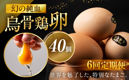 【6ヶ月定期便】烏骨鶏たまご モールド 40個｜たまご