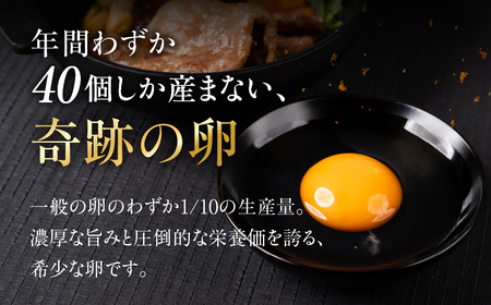 【6ヶ月定期便】烏骨鶏たまご モールド 40個｜たまご