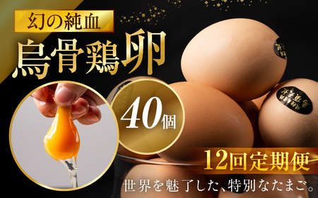 【12ヶ月定期便】烏骨鶏たまご モールド 40個｜たまご