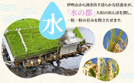 玄米 令和7年産 15kg  れんげハツシモ｜玄米