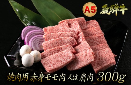 A5飛騨牛 焼肉用 赤身モモ肉又は肩肉 300g | 岐阜県大垣市 | ふるさと 