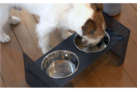 ｄｉｓｈ ｓｔａｎｄ ペット用食器スタンド サイズ ｍ カラー サテングレー 高さ 角度調整可能 組立式 岐阜県大垣市 ふるさと納税サイト ふるなび