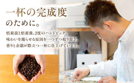 超希少種 コーヒー 豆 エチオピア ゲイシャ ナチュラル 200g｜コーヒー