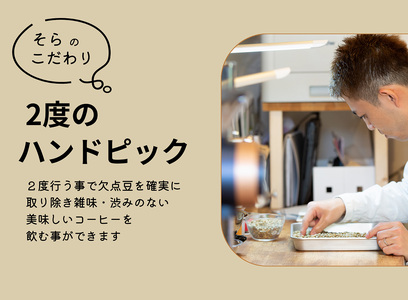 超希少種コーヒー 豆 2種セット 計400g『エチオピア　ゲイシャ』＆『イエメン　モカハラズ』コーヒー