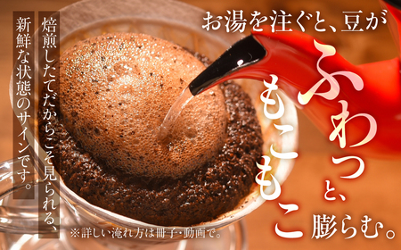 【定期便12ヶ月】超希少種コーヒー 粉『エチオピア ゲイシャ』　定期便