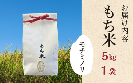 ≪令和7年度産≫もち米 モチミノリ 5kg｜もち米