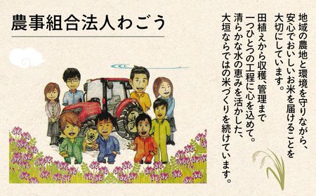 ≪令和7年度産≫もち米 モチミノリ 5kg｜もち米