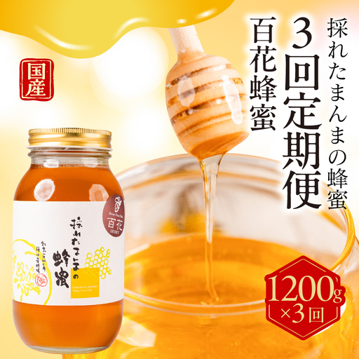 【国産蜂蜜】百花 1200g×3回定期便 蜂蜜