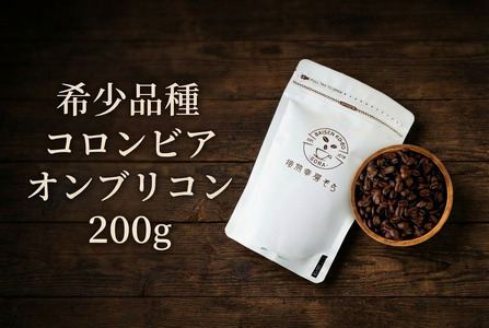 コロンビア5kg/アチェ/ガヨマウンテン3kg特別2種/合計8kg 岐阜県(大垣市)】【コーヒー豆】希少品種 コロンビア チロソ