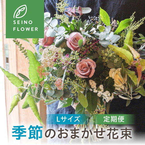 季節のお花  西濃フラワー 定期便 3回 Lサイズ