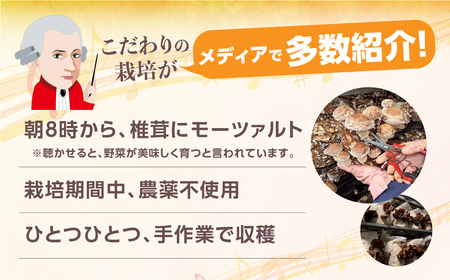 乾燥きくらげ｜きくらげ