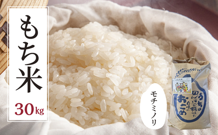 ≪令和7年度産≫もち米 モチミノリ 30kg｜もち米