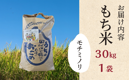 ≪令和7年度産≫もち米 モチミノリ 30kg｜もち米