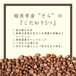 【定期便3か月】超希少種コーヒー豆『エチオピア　ゲイシャ』ゲシャビレッジ農園　チャカ（ナチュラル） 
