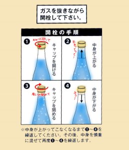炭酸純米白川郷 泡にごり酒 500ml×2本セット