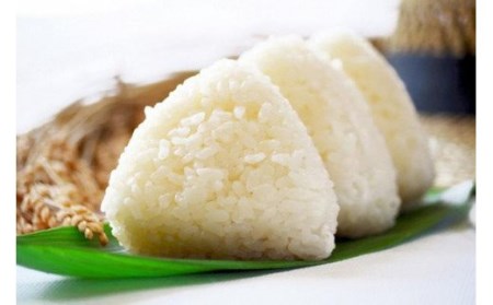芭蕉さんのむすび米(5kg・精米)