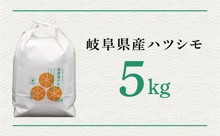 新米 令和7年度産 ハツシモ 5kg｜新米