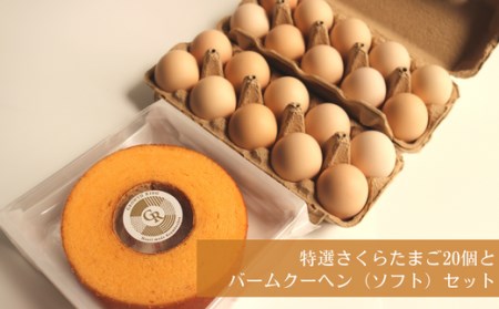 特選さくらたまご(20個)とバームクーヘン(ソフト)セット