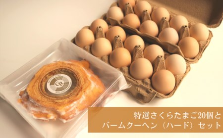 特選さくらたまご(20個)とバームクーヘン(ハード)セット