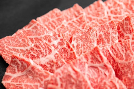 【飛騨牛 メス牛】 最高A5等級 赤身モモ・カタ 焼肉用 500g
