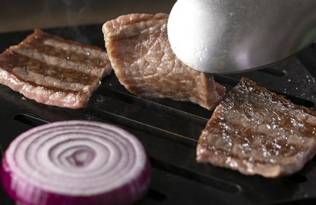 【飛騨牛 メス牛】 最高A5等級 赤身モモ・カタ 焼肉用 500g