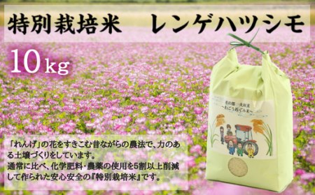 【令和5年度産】水の都 大垣米 ～わごうめぐみ米～ 10kg【特別栽培米レンゲハツシモ】